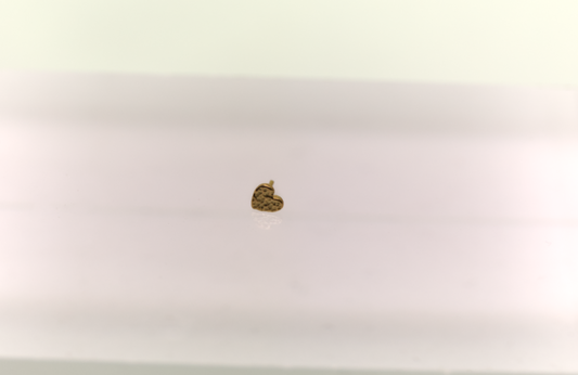Stud : polished heart 18k