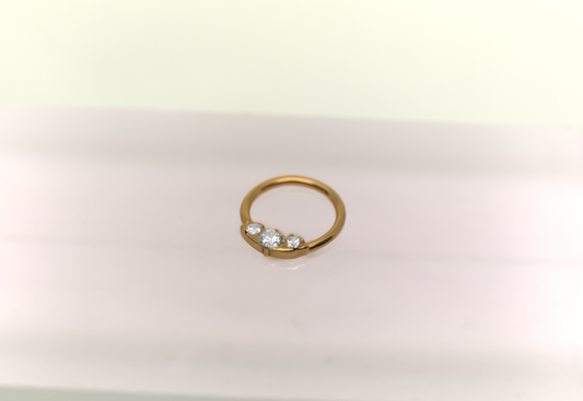 Kenaz ring piercing 14k