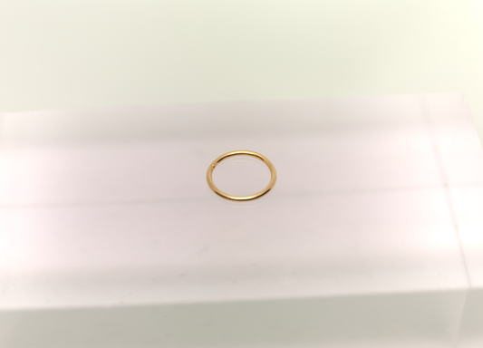 Simple Ring piercing - 18k