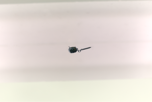 Claw moss agate earring