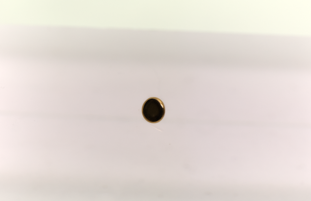 Stud : Polished Disc 18k